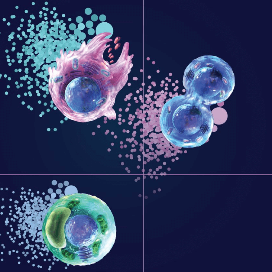 BD CellView™ Image Technology